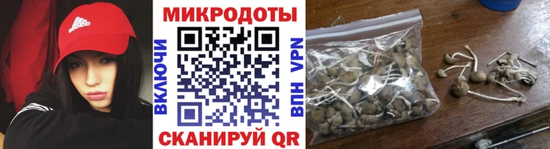 это официальный сайт  Мостовской  Галлюциногенные грибы мухоморы 